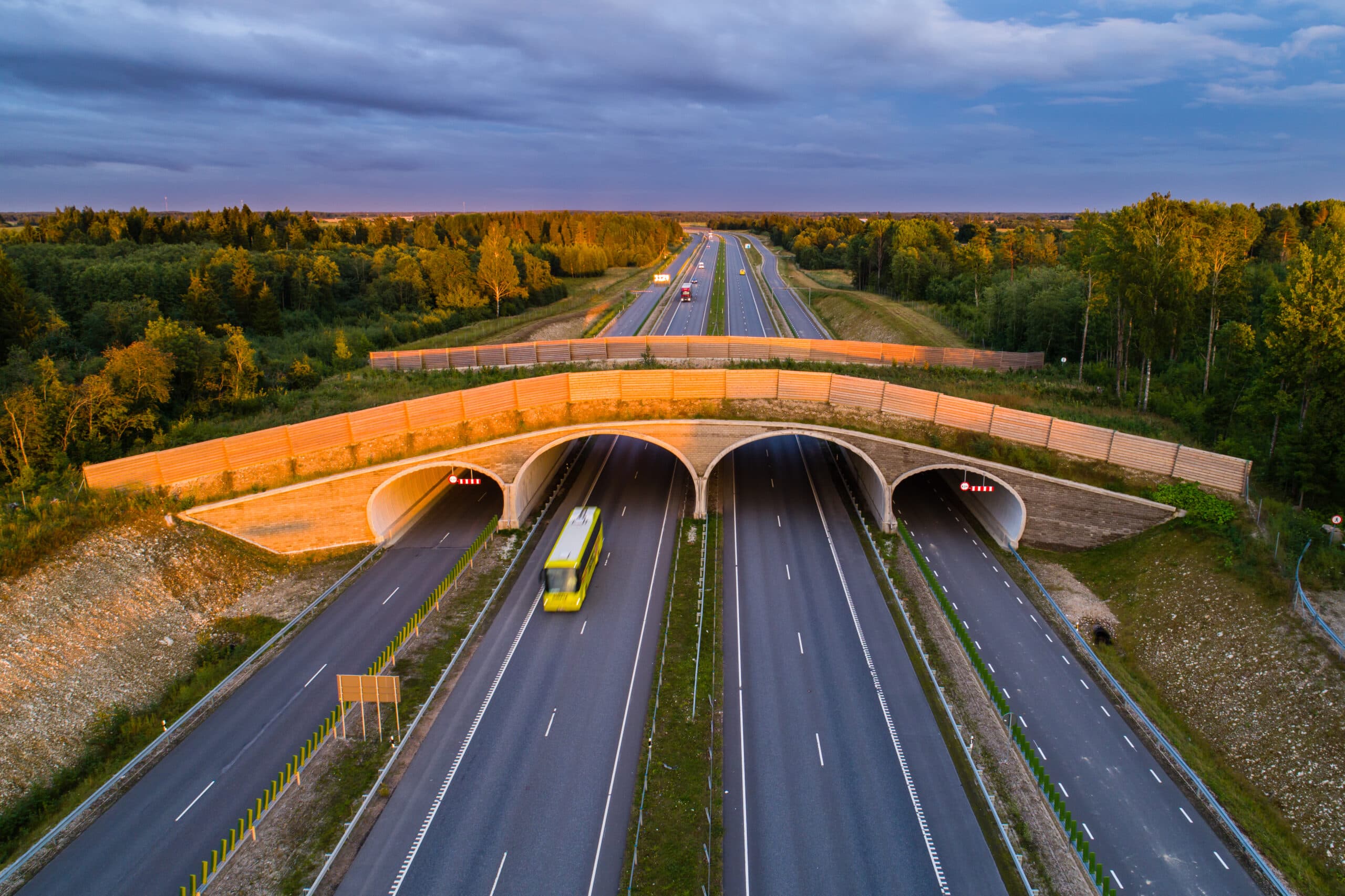 Sildade projekteerimine