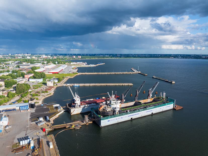 Vides konsultācijas