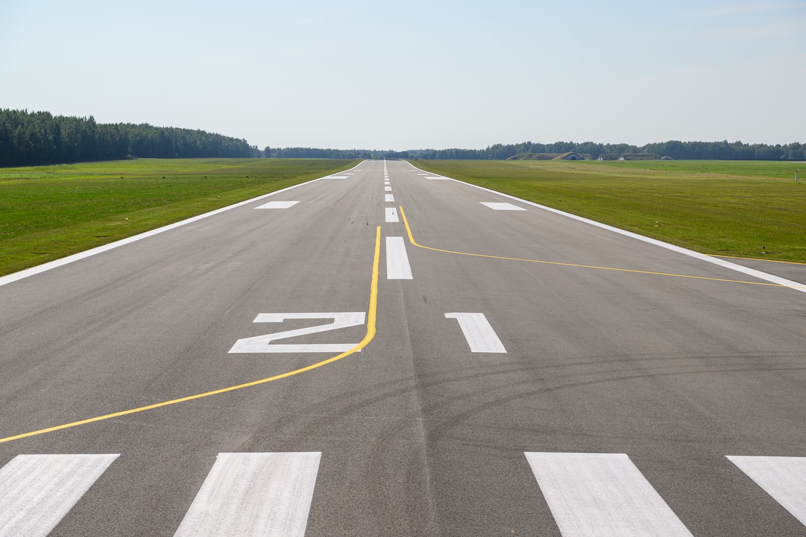 Top-level infrastructure services in Estonia