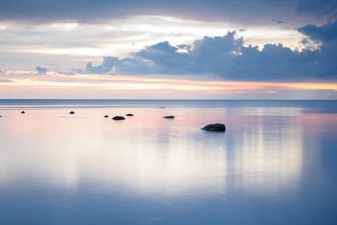 Skepast&Puhkimi loodusteaduse stipendium